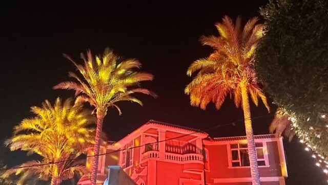 Google Photo 4