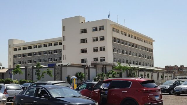 Google Photo 4
