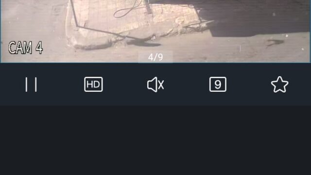 Google Photo 2