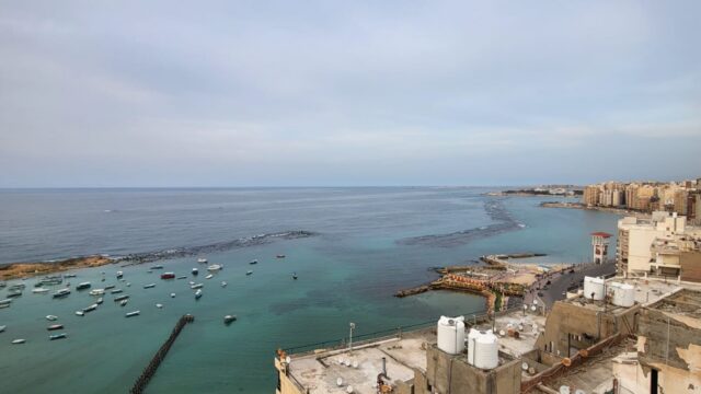 Google Photo 5