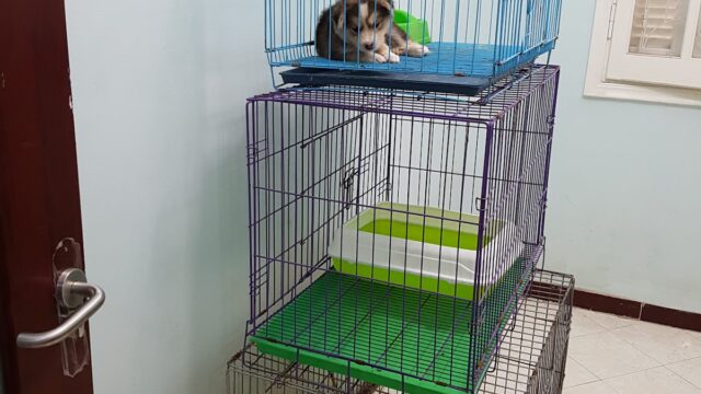 Google Photo 2
