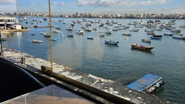 Google Photo 5