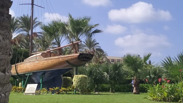 Google Photo 5