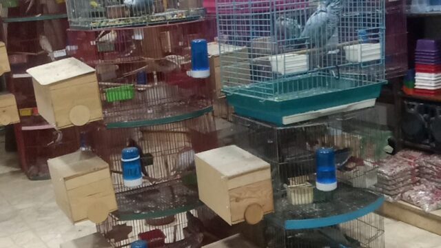 Google Photo 2