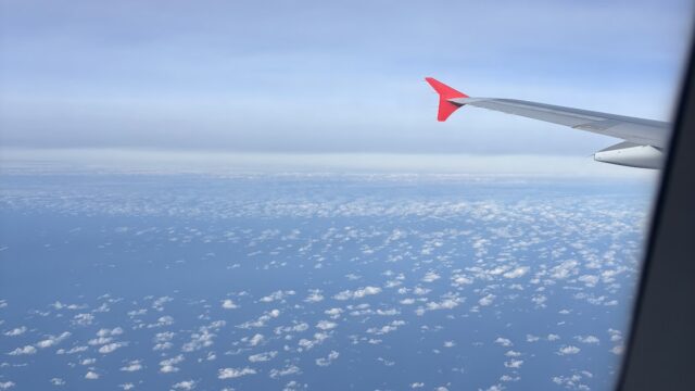 Google Photo 1
