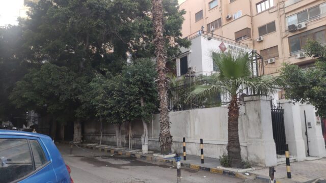 Google Photo 3