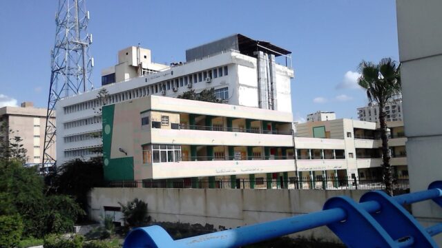 Google Photo 3