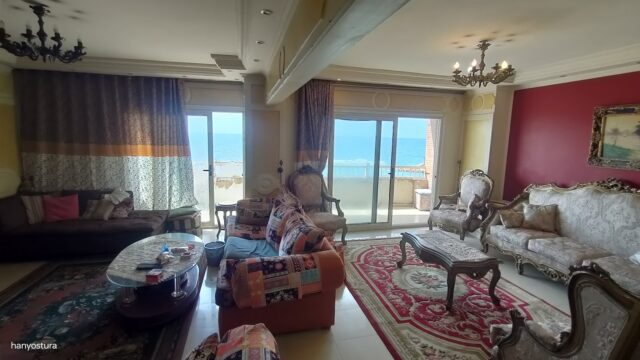 Google Photo 5