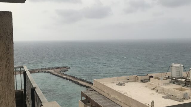 Google Photo 3