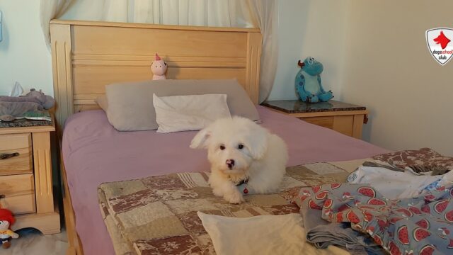 Google Photo 5