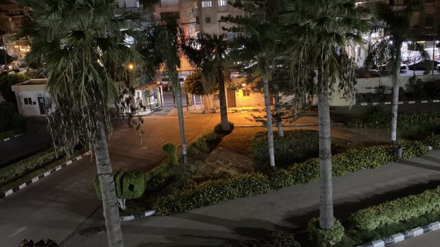 Google Photo 2