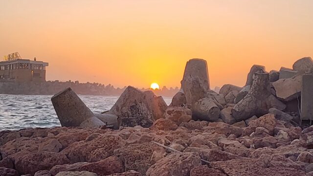 Google Photo 4