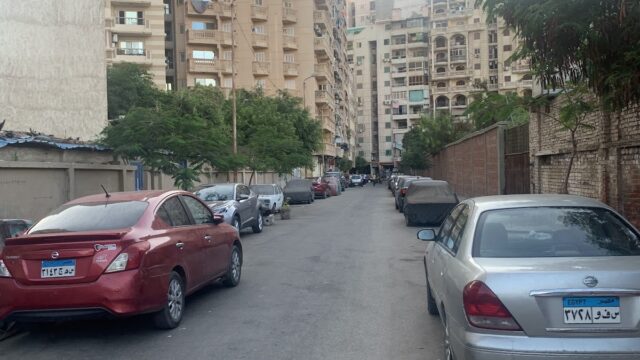 Google Photo 5