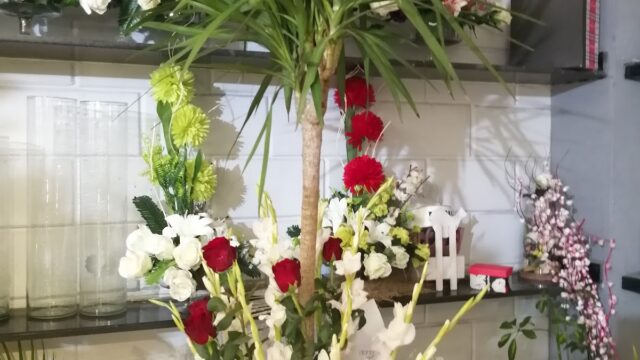 Google Photo 3
