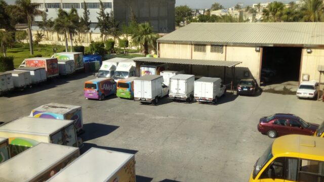 Google Photo 5