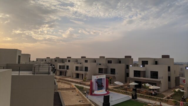 Google Photo 1