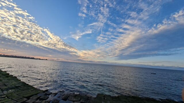 Google Photo 3