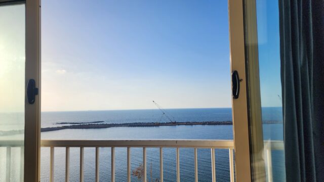 Google Photo 3