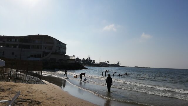 Google Photo 4