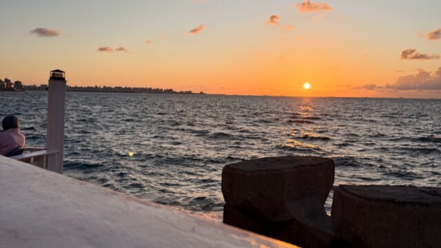 Google Photo 3
