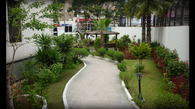 Google Photo 2