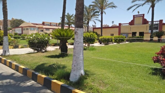Google Photo 3