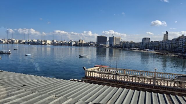 Google Photo 4