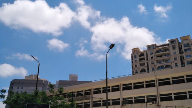 Google Photo 2