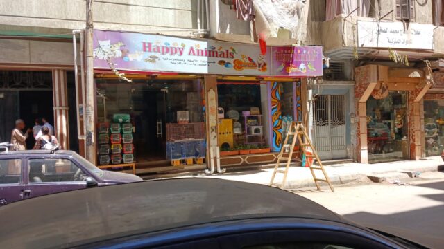 Google Photo 1