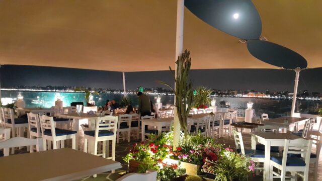 Google Photo 1