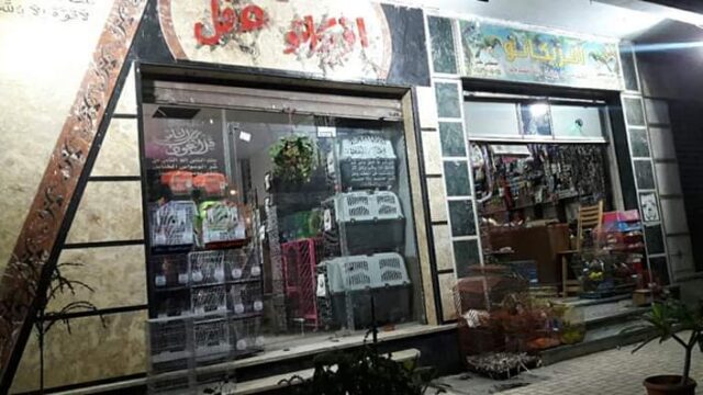 Google Photo 1