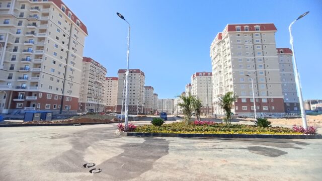 Google Photo 3