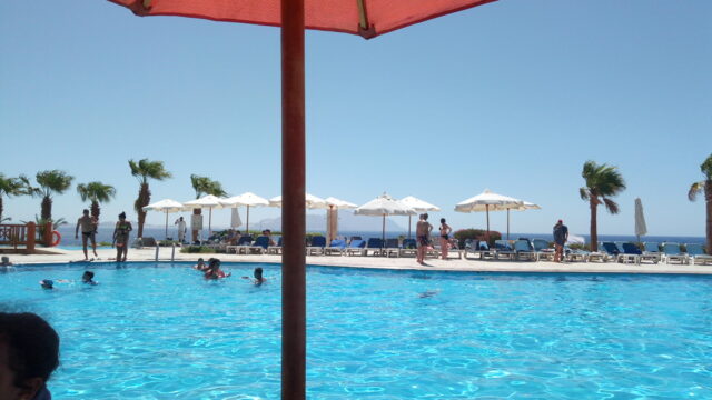 Google Photo 3