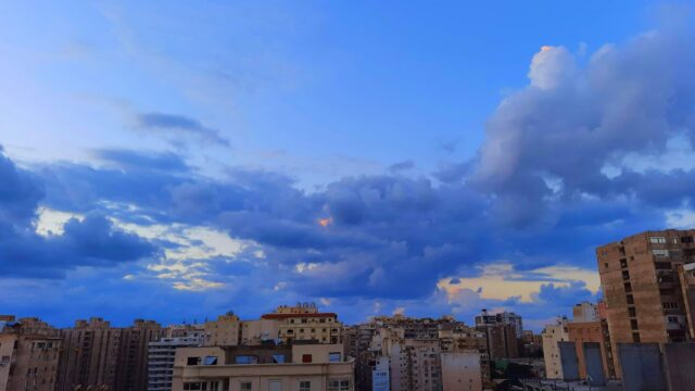 Google Photo 4