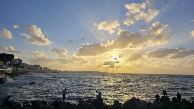 Google Photo 3