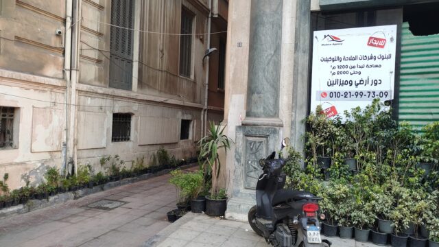 Google Photo 3