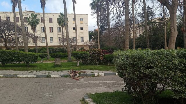 Google Photo 5