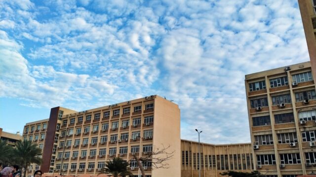 Google Photo 2