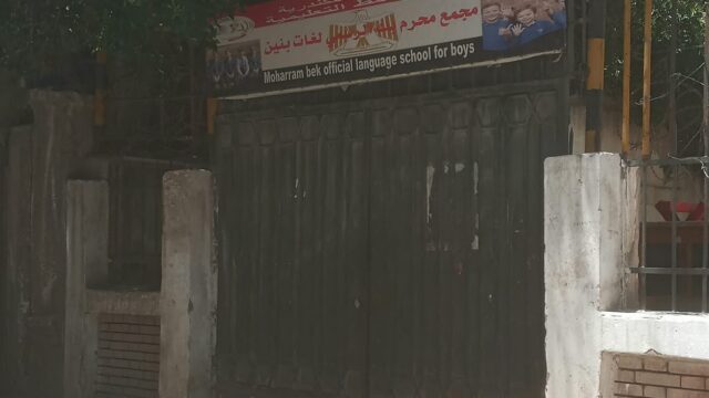 Google Photo 3