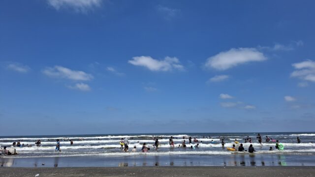 Google Photo 3