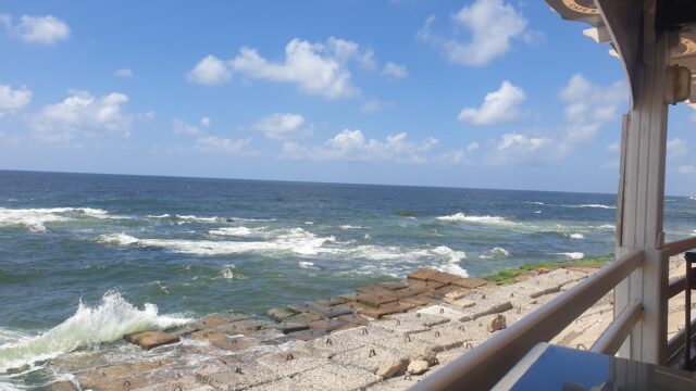 Google Photo 4