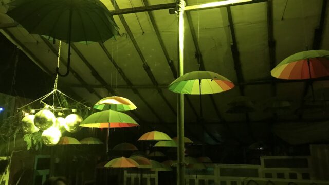 Google Photo 1