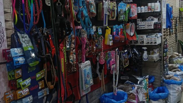 Google Photo 3