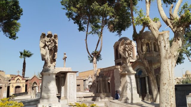 Google Photo 4