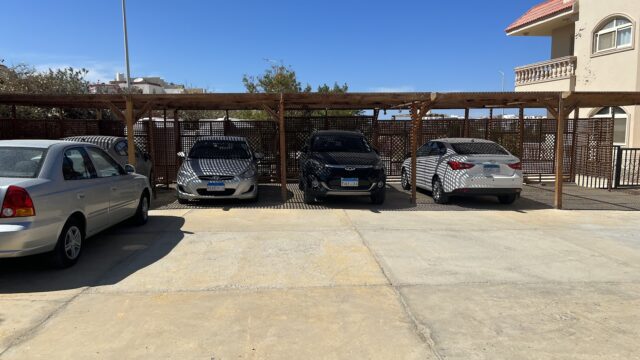 Google Photo 2