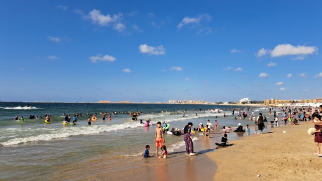 Google Photo 5