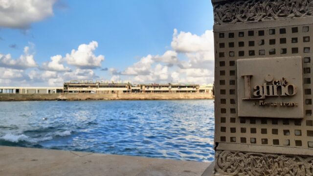 Google Photo 3