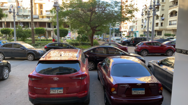 Google Photo 5