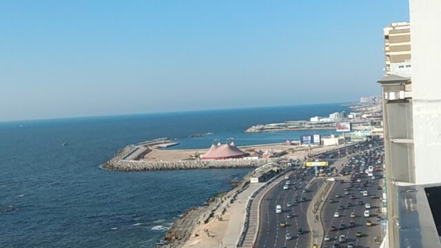 Google Photo 2