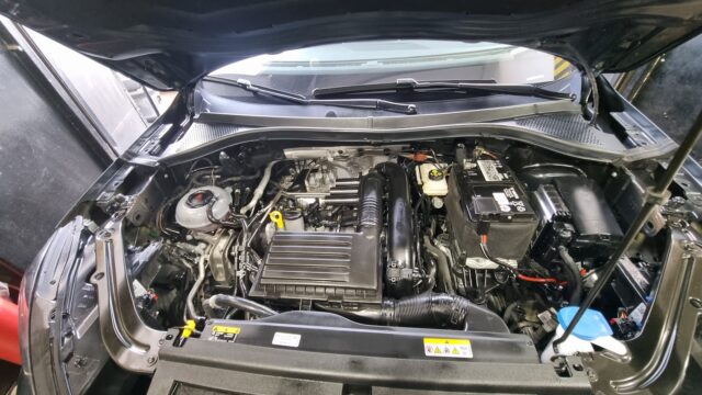 Google Photo 2